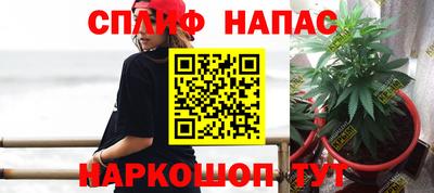 spice Моздок